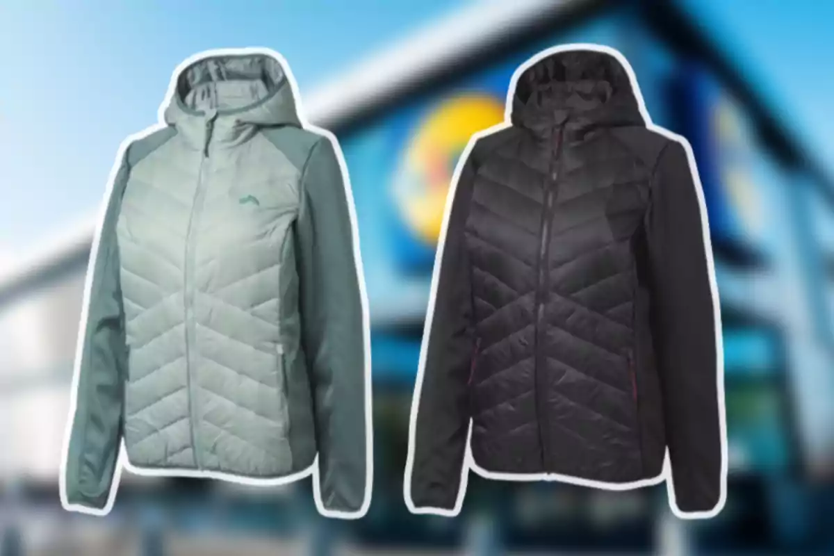 Dues jaquetes encoixinades amb caputxa, una de color gris clar i l’altra de color negre, sobre un fons desenfocat d’una botiga Dues jaquetes encoixinades amb caputxa, una de color gris clar i l’altra de color negre, sobre un fons desenfocat d’una botiga
