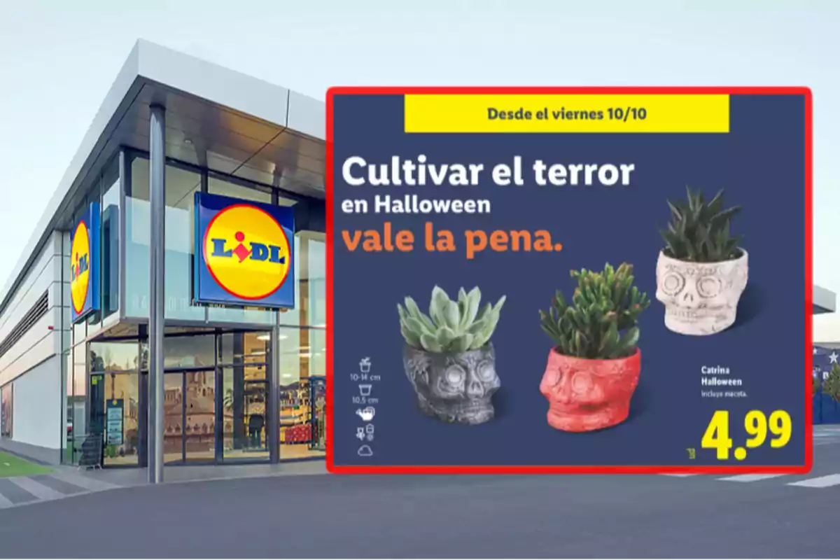 Façana d’una botiga Lidl amb un anunci de testos en forma de calavera per a Halloween a un preu de 4,99 euros Façana d’una botiga Lidl amb un anunci de testos en forma de calavera per a Halloween a un preu de 4,99 euros