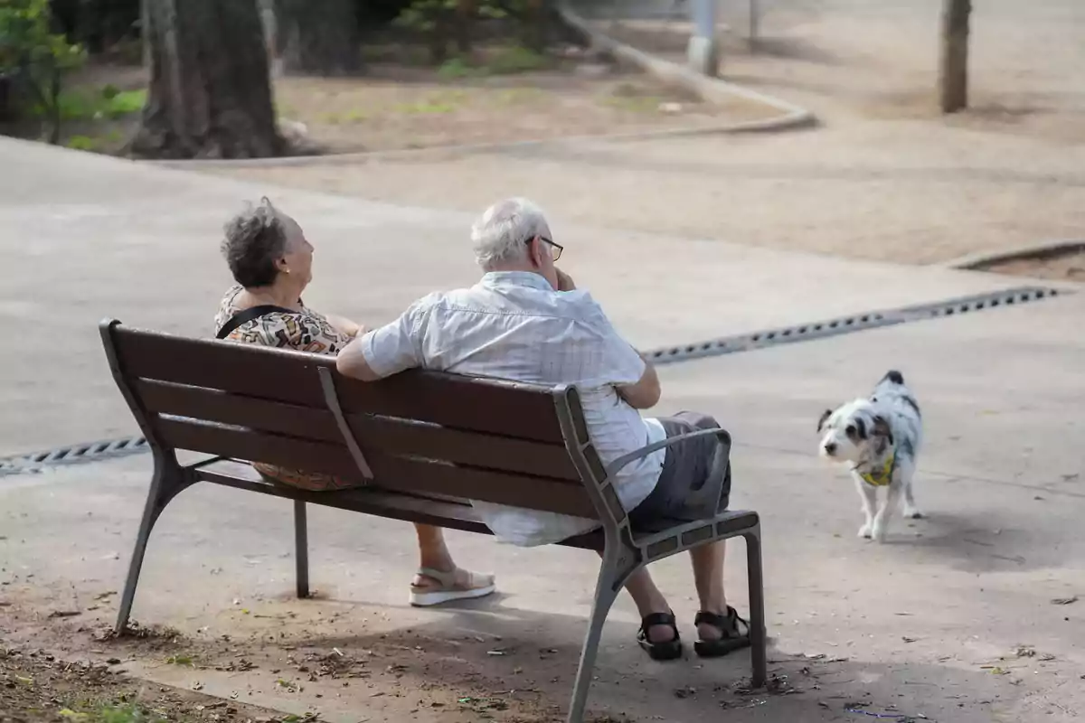 Dues persones grans assegudes en un banc de parc observen un gos petit que camina a prop d’ells. Dues persones grans assegudes en un banc de parc observen un gos petit que camina a prop d’ells.