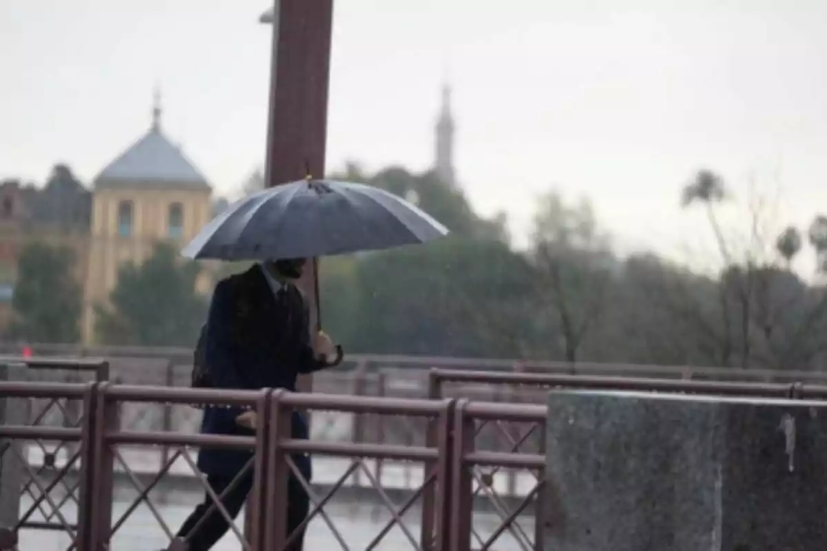 Persona caminando bajo la lluvia con un paraguas negro sobre un puente. Persona caminando bajo la lluvia con un paraguas negro sobre un puente.