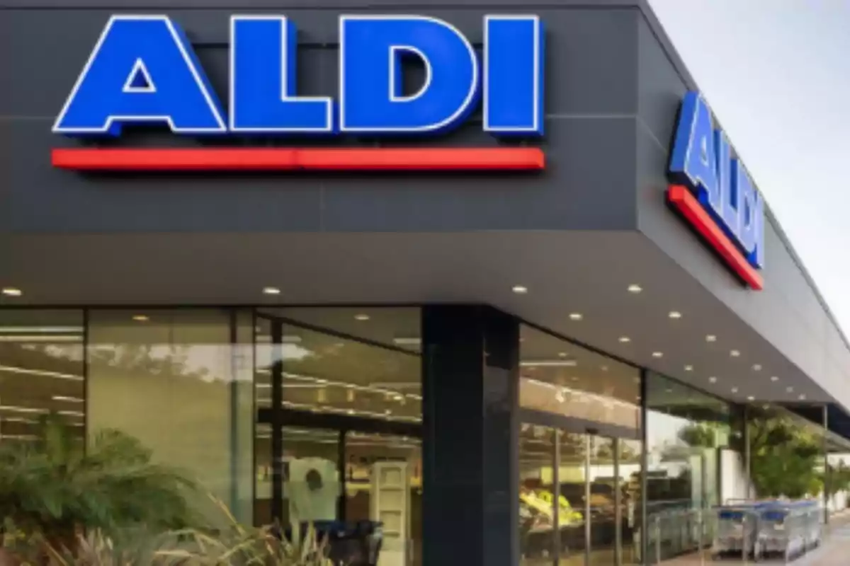 Storefront with the ALDI logo in large blue letters on a gray background. Storefront with the ALDI logo in large blue letters on a gray background.