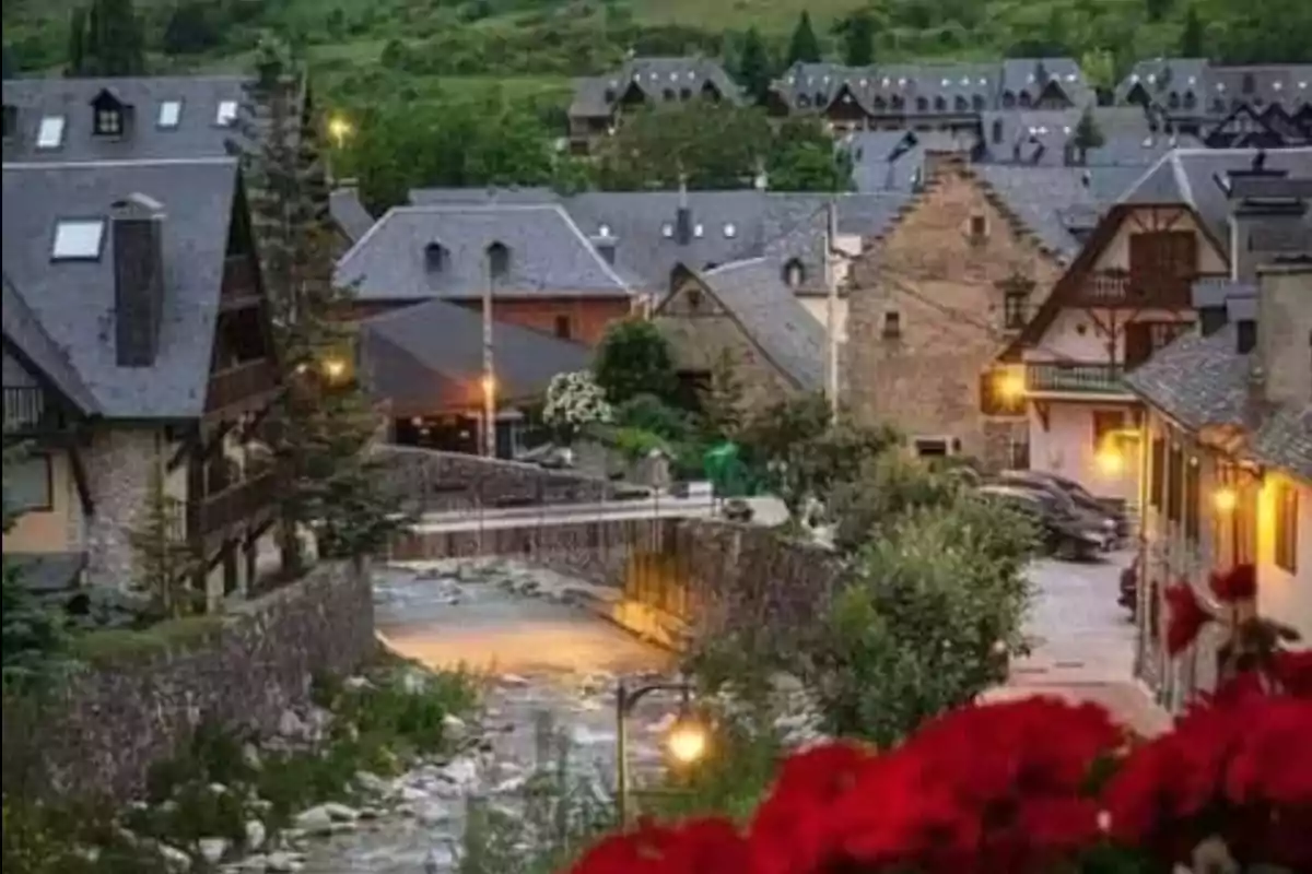 Vista de un pintoresco pueblo con casas de tejados grises, un pequeño río y flores rojas en primer plano.