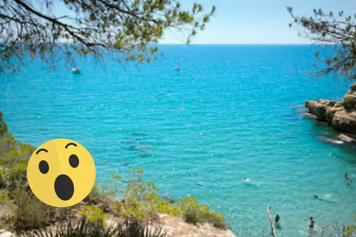 Vista d'una platja amb aigua blava turquesa, envoltada d'arbres i roques, amb un emoji de cara sorpresa a la cantonada inferior esquerra. Vista d'una platja amb aigua blava turquesa, envoltada d'arbres i roques, amb un emoji de cara sorpresa a la cantonada inferior esquerra.