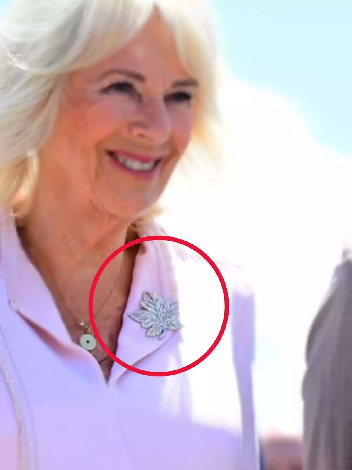 Dona de cabells rossos i roba clara somriu mentre llueix una agulla en forma de fulla platejada a la solapa Dona de cabells rossos i roba clara somriu mentre llueix una agulla en forma de fulla platejada a la solapa