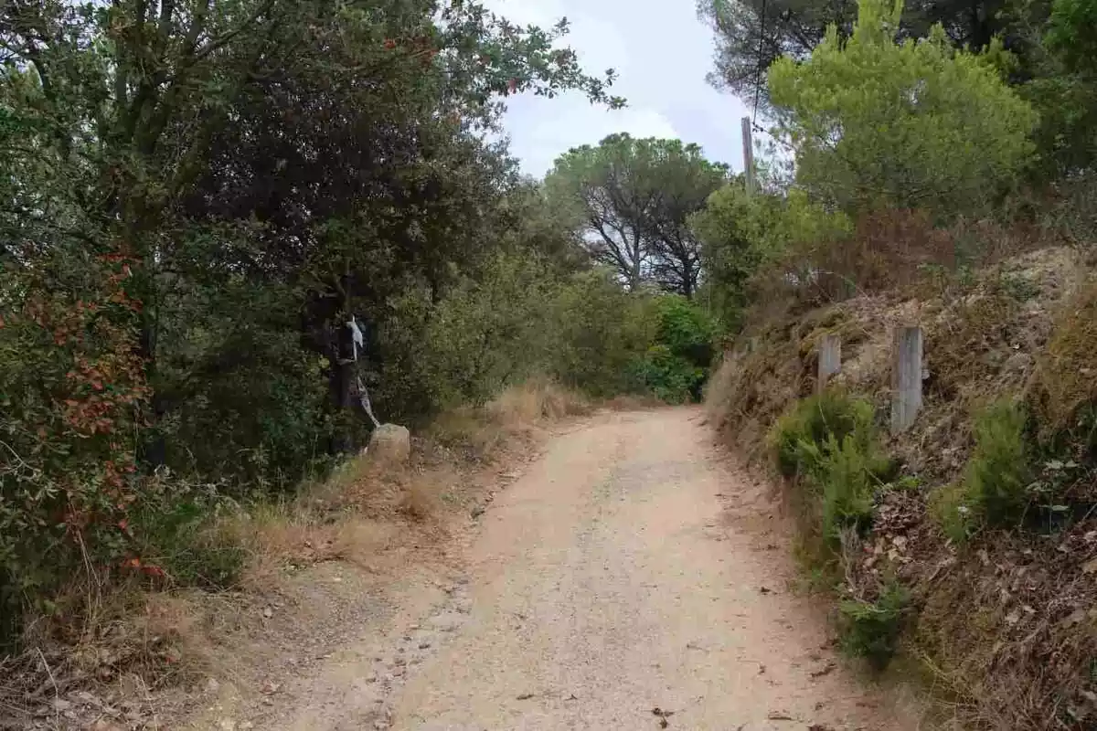 Imatge del camí de Blanes on els Mossos d'Esquadra han localitzat el cadàver d'un noi de 32 anys