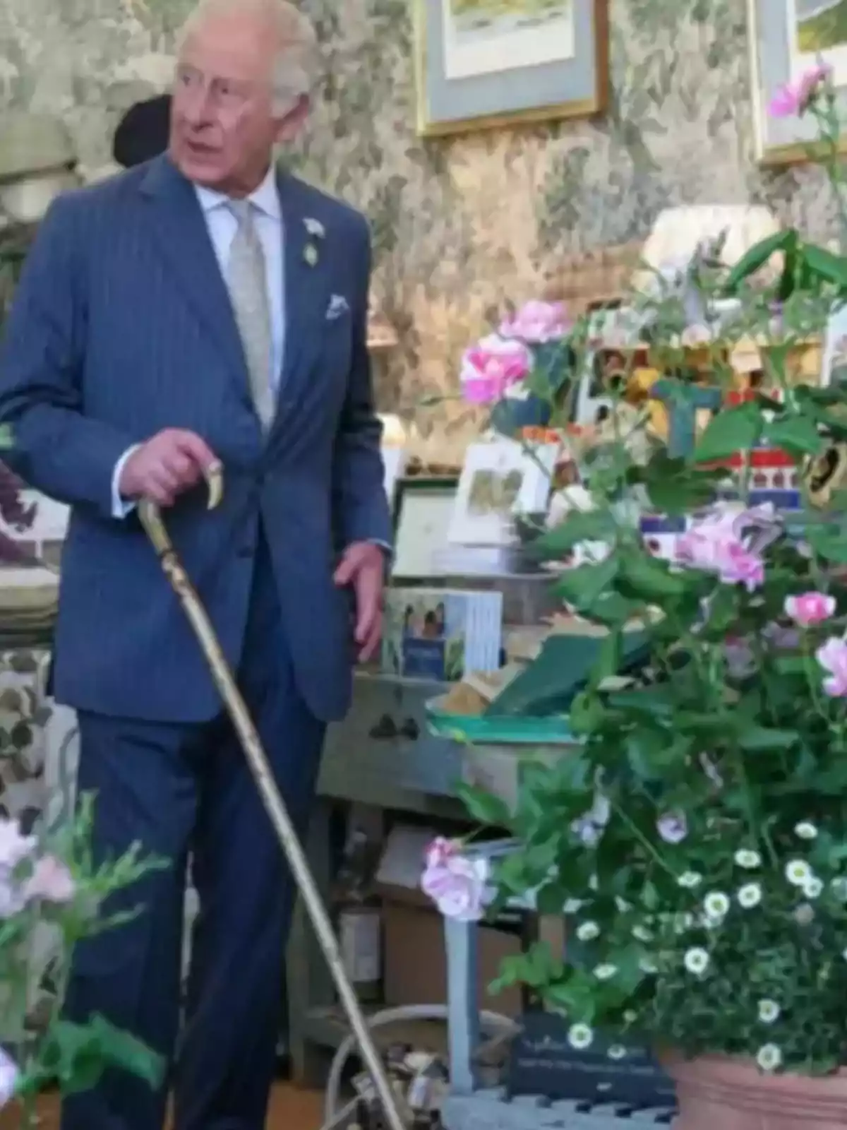 Un home gran amb vestit blau i bastó està dret en una habitació decorada amb plantes i quadres. Un home gran amb vestit blau i bastó està dret en una habitació decorada amb plantes i quadres.