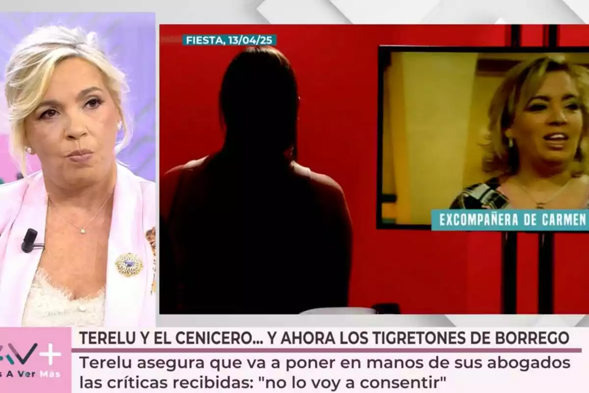 Carmen Borrego rossa a 'Vamos a ver', amb un requadre que mostra una altra persona en una pantalla i un text a la part inferior que menciona una declaració sobre crítiques i advocats. Carmen Borrego rossa a 'Vamos a ver', amb un requadre que mostra una altra persona en una pantalla i un text a la part inferior que menciona una declaració sobre crítiques i advocats.