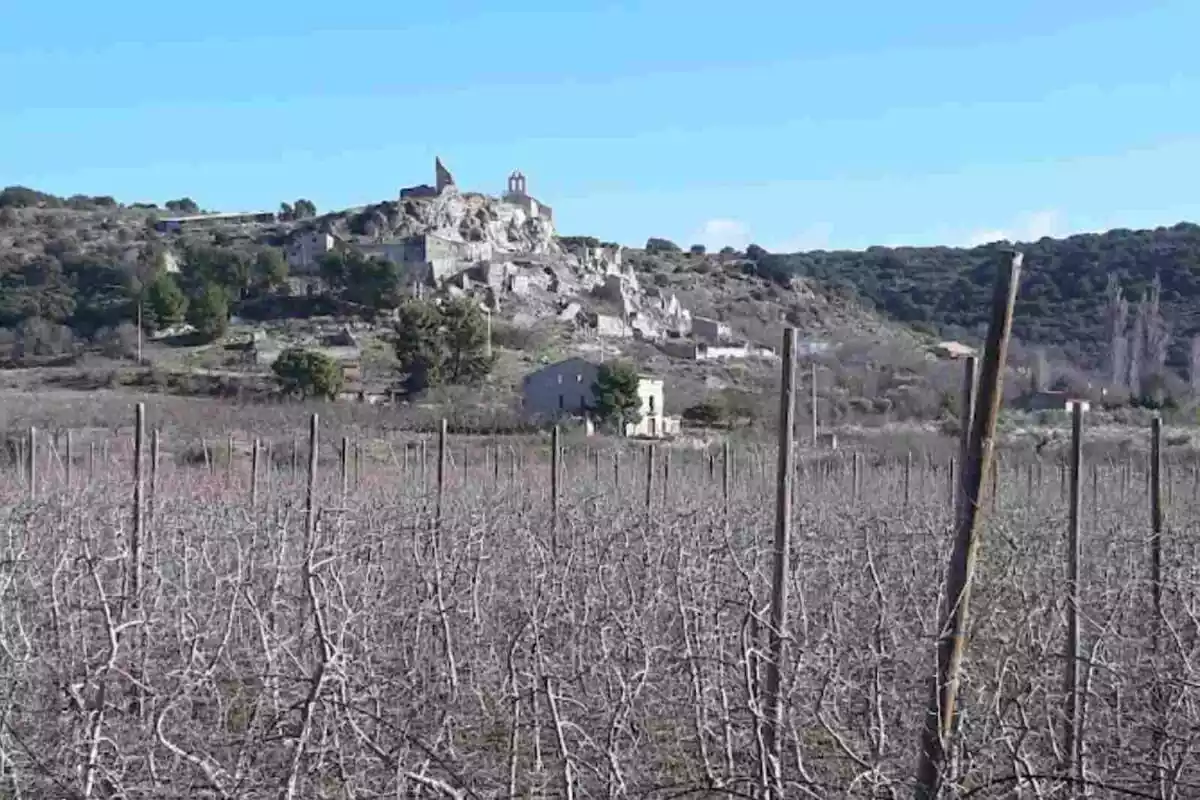 La Figuera, el municipi deshabitat situat a la comarca de la Noguera