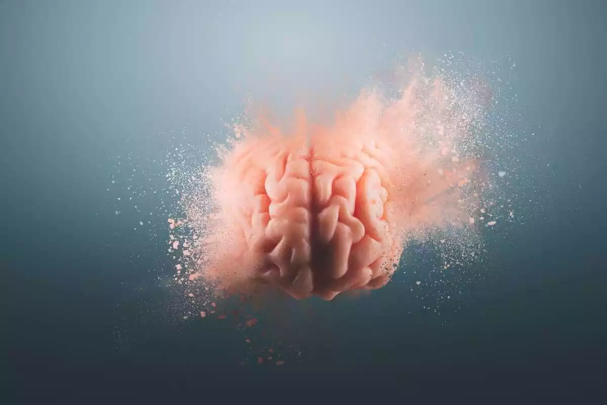 Un cervell humà flotant sobre un fons gris Un cervell humà flotant sobre un fons gris