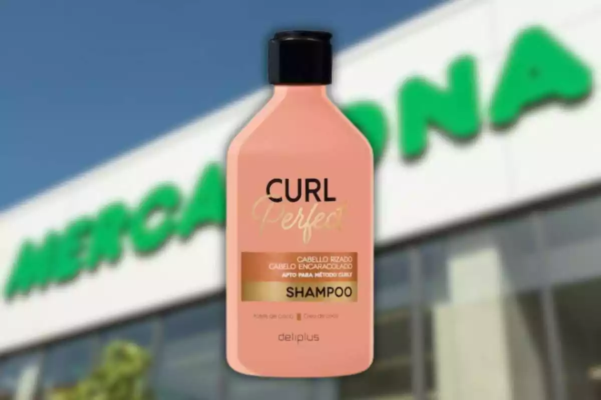 Xampú Curl Perfect de Deliplus