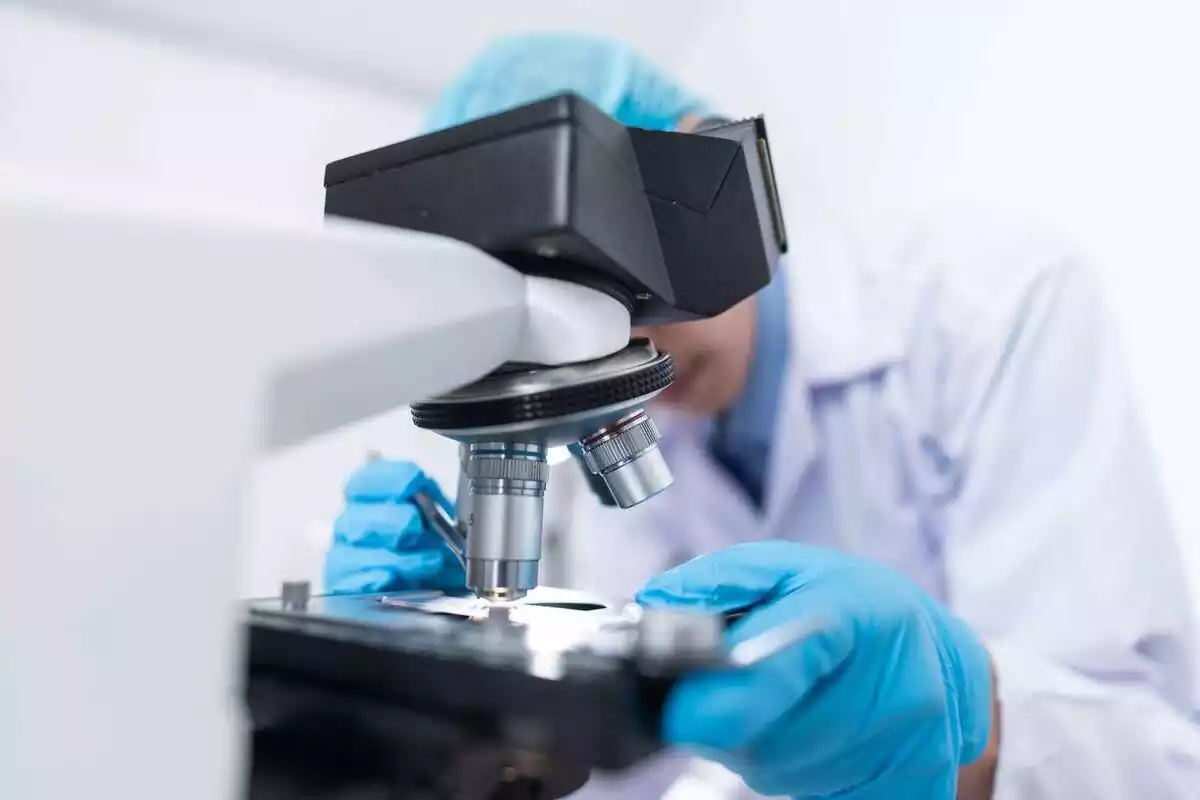 Un científic utilitzant un microscopi amb uns guants blaus posats Un científic utilitzant un microscopi amb uns guants blaus posats