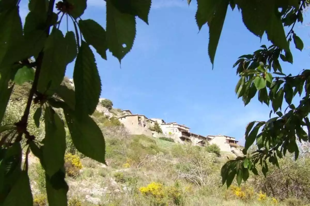 El municipi de Cornellada, Lleida