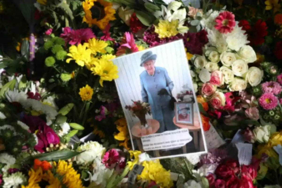 Una foto de la reina Isabel II durant un homenatge floral a Green Park, a 12 de Setembre de 2022, a Green Park, Londres. Una foto de la reina Isabel II durant un homenatge floral a Green Park, a 12 de Setembre de 2022, a Green Park, Londres.