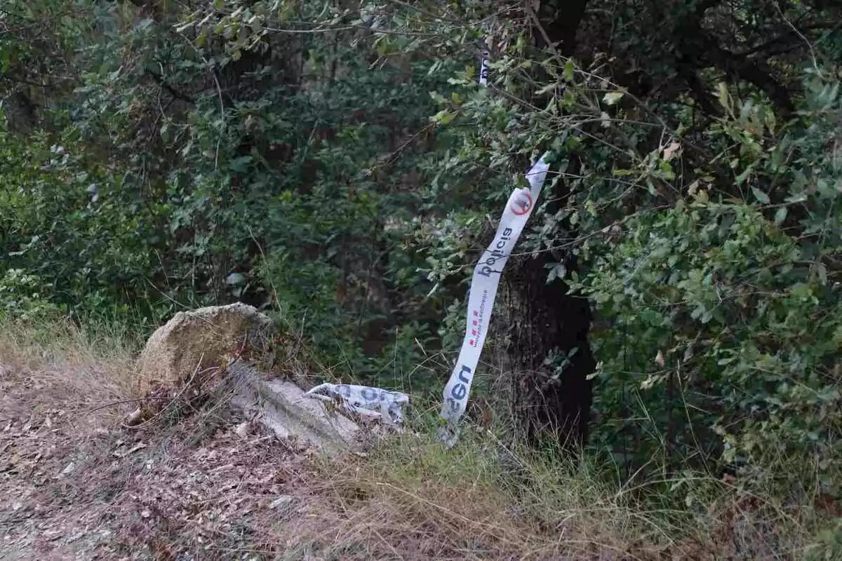 Imatge d'una zona boscosa a Blanes amb una cinta dels Mossos d'Esquadra