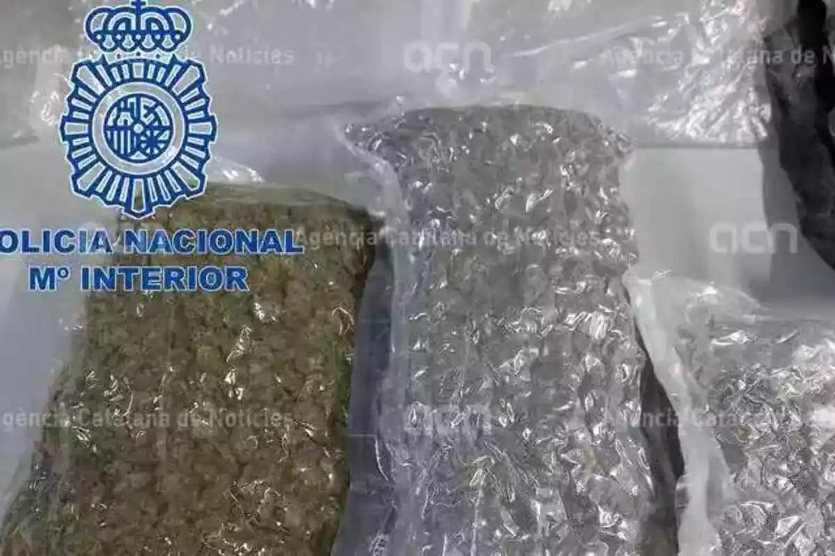 Imatge de la droga incautada per la Policia Nacional