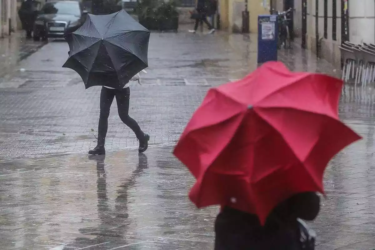 Foto de dos paraigües sota la pluja.