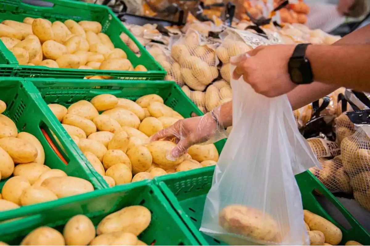 foto de la secció de patates de mercadona