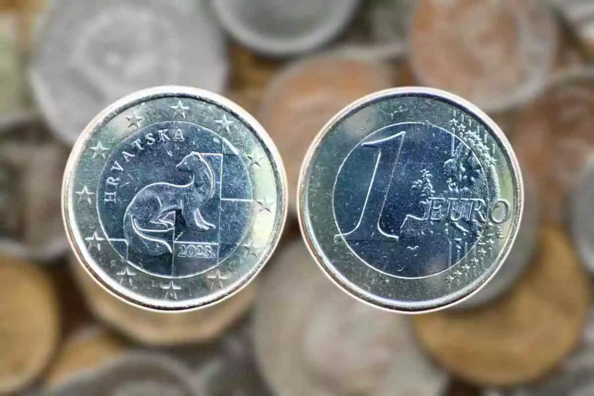 Dues monedes d'un euro, una amb el disseny d'un animal i la paraula Dues monedes d'un euro, una amb el disseny d'un animal i la paraula