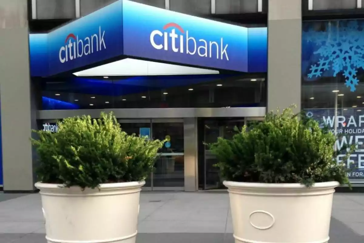 Entrance of a Citibank branch with two large pots with green plants in front.