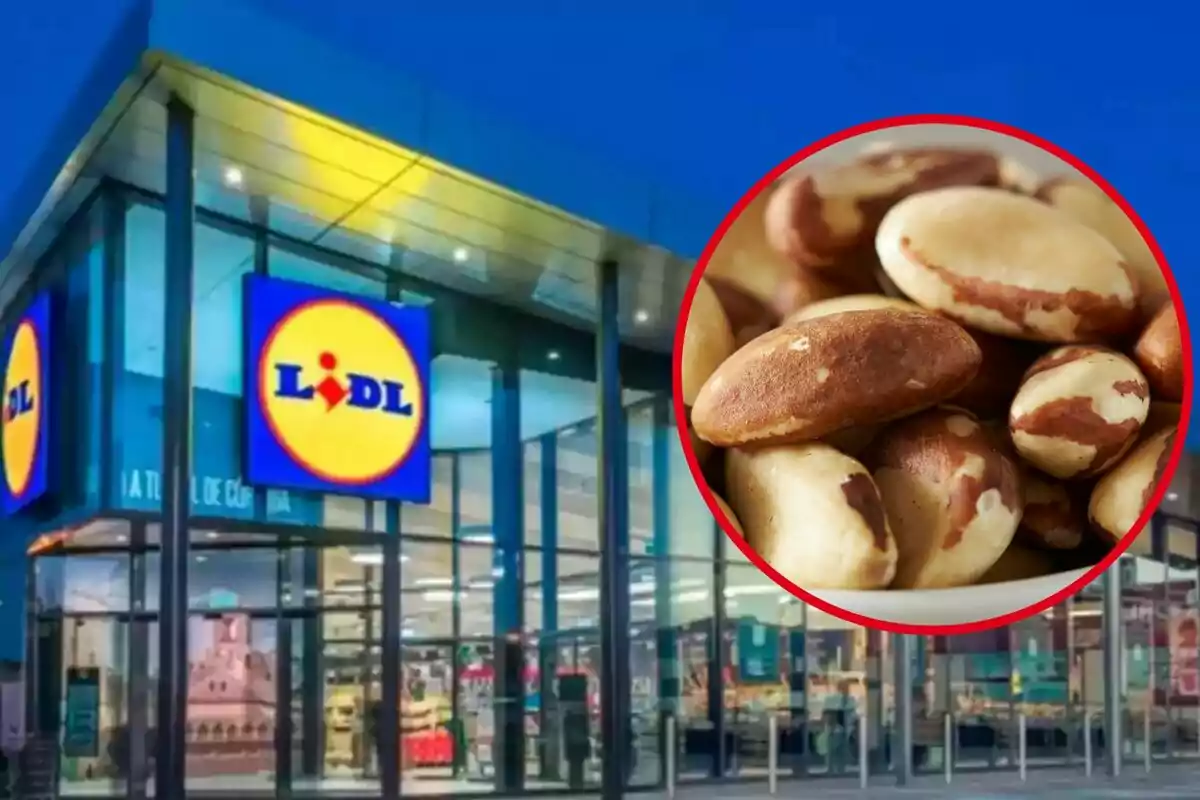 Façana d'una botiga Lidl amb una imatge de nous del Brasil en un cercle vermell.