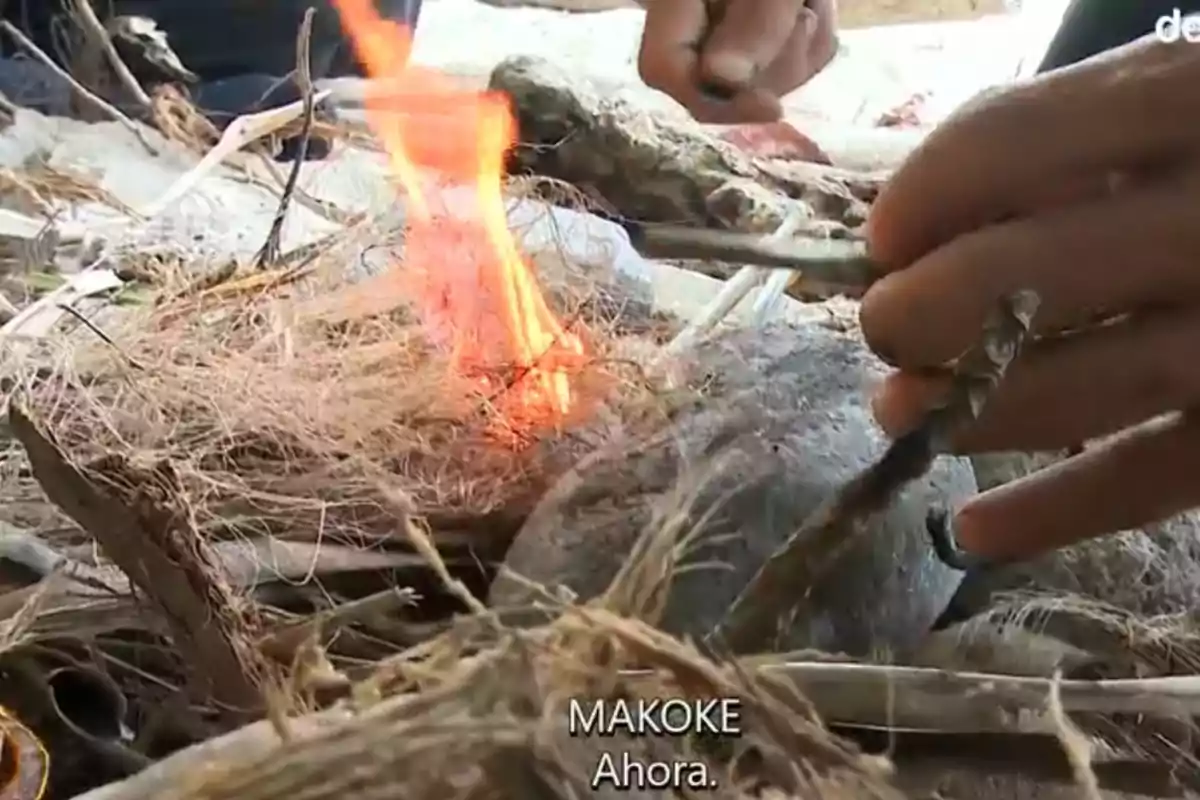 Una persona està encenent un foc amb branques i fibres seques. Una persona està encenent un foc amb branques i fibres seques.