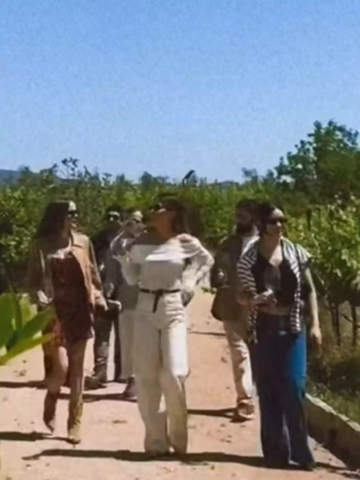 Grup de persones caminant per un camí envoltat de vegetació sota un cel serè Grup de persones caminant per un camí envoltat de vegetació sota un cel serè