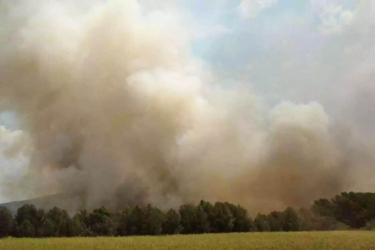 Imatge d'un incendi a la comarca de l'Alt Camp
