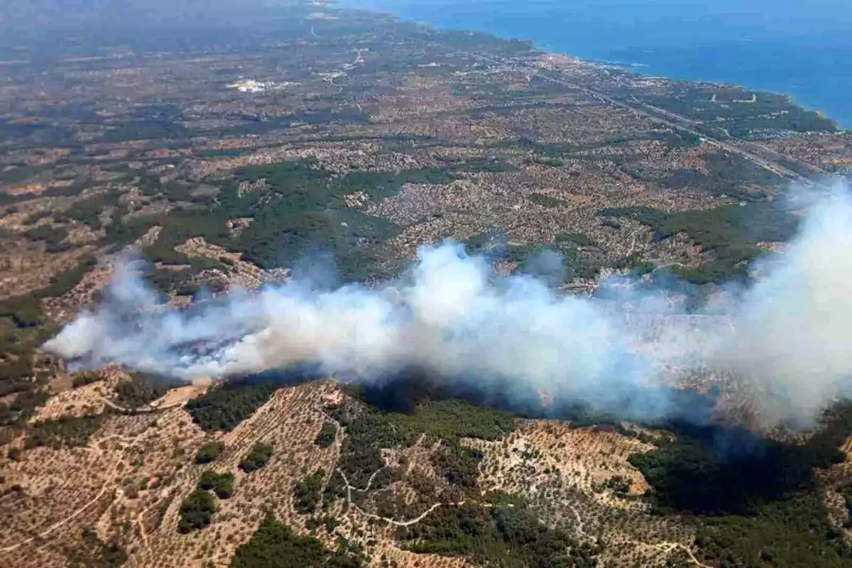 Imatge de l'incendi forestal del Perelló