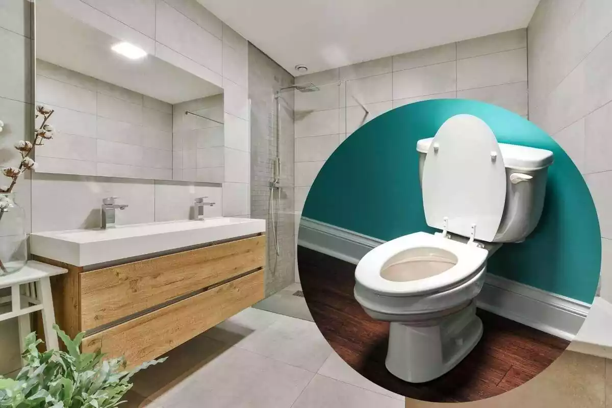 Imatge de fons d´un bany amb una dutxa i una pica doble amb un gran mirall i una imatge superposada d´un vàter amb la tapa pujada