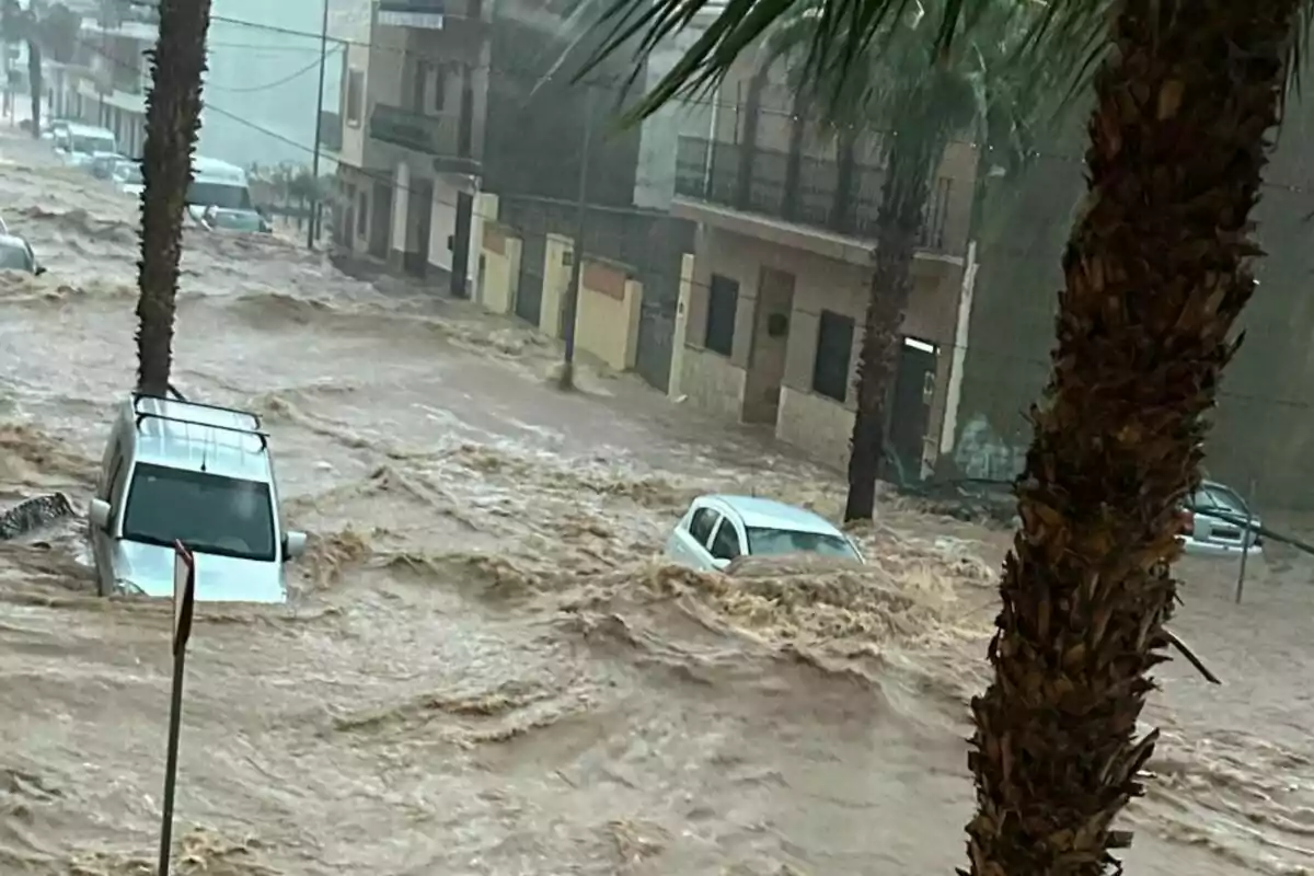 Carrer inundat amb cotxes parcialment submergits a l'aigua i palmeres en primer pla.