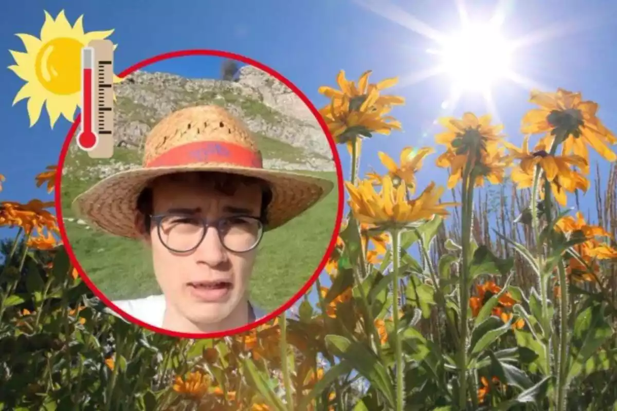 Imatge de fons d'un camp de flors grogues amb el sol al cel, al costat d'una altra imatge en primer pla de Jorge Rey amb una gorra de palla i una emoticona d'un sol i un termòmetre