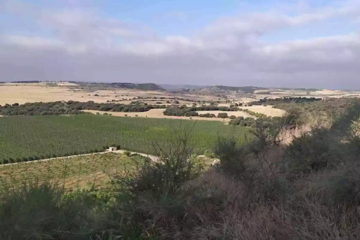 La Figuera, el municipi deshabitat situat a la comarca de la Noguera