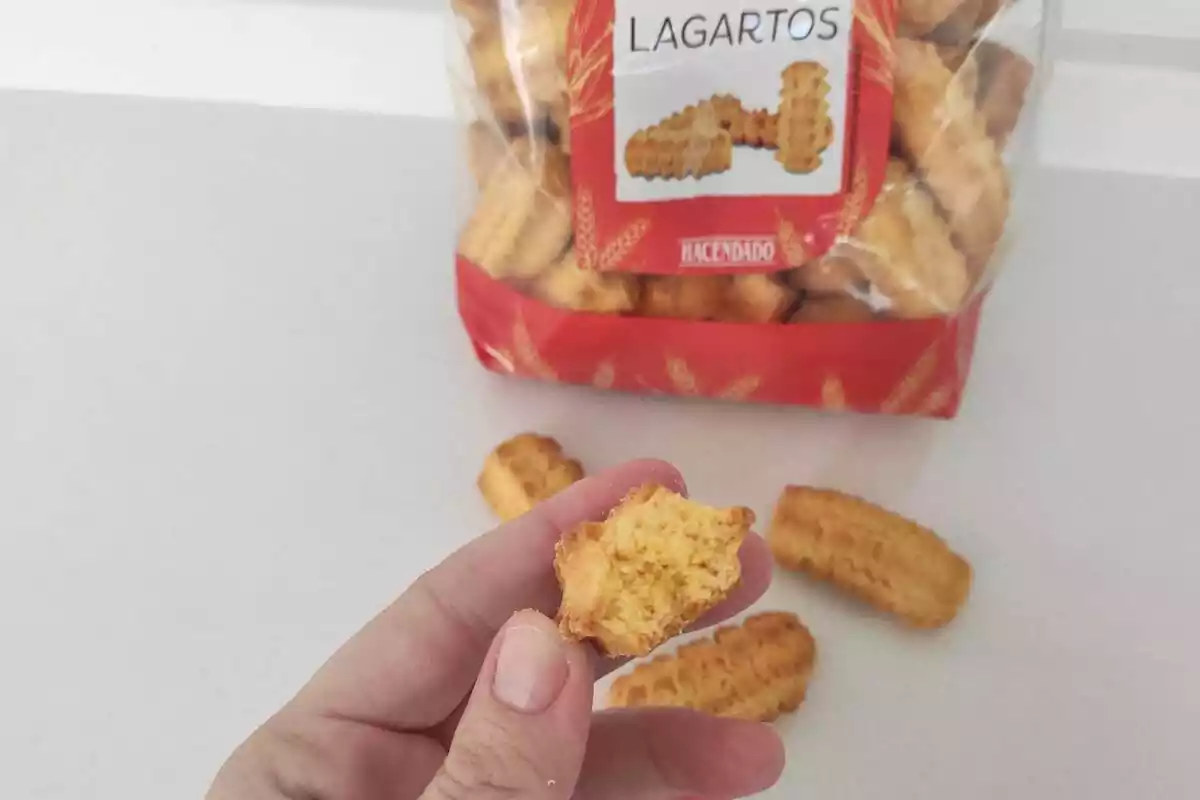 Pasta lagarto mordida