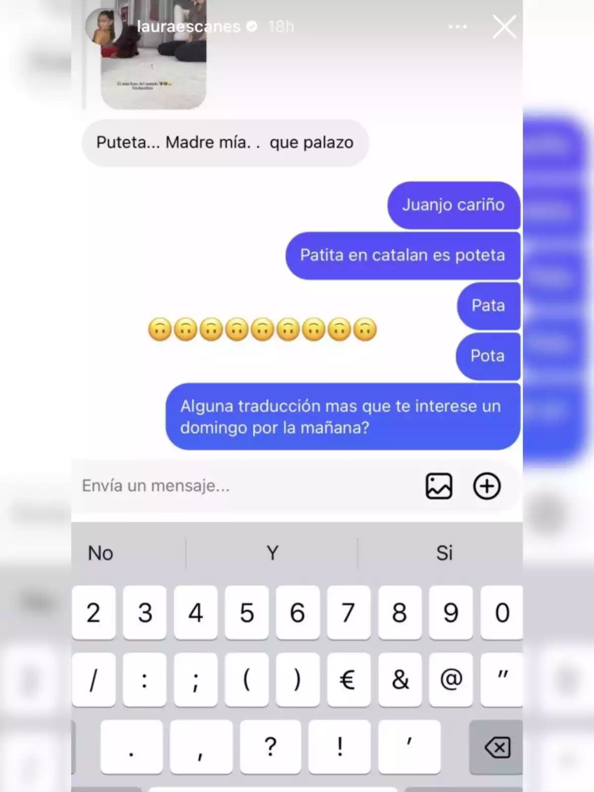 Storie de Laura Escanes a Instagram responent a un seguidor sobre una paraula en català