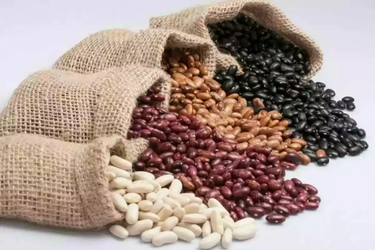 Burlap sacks spilling different types of beans of white, red, brown and black colors on a white surface. Burlap sacks spilling different types of beans of white, red, brown and black colors on a white surface.