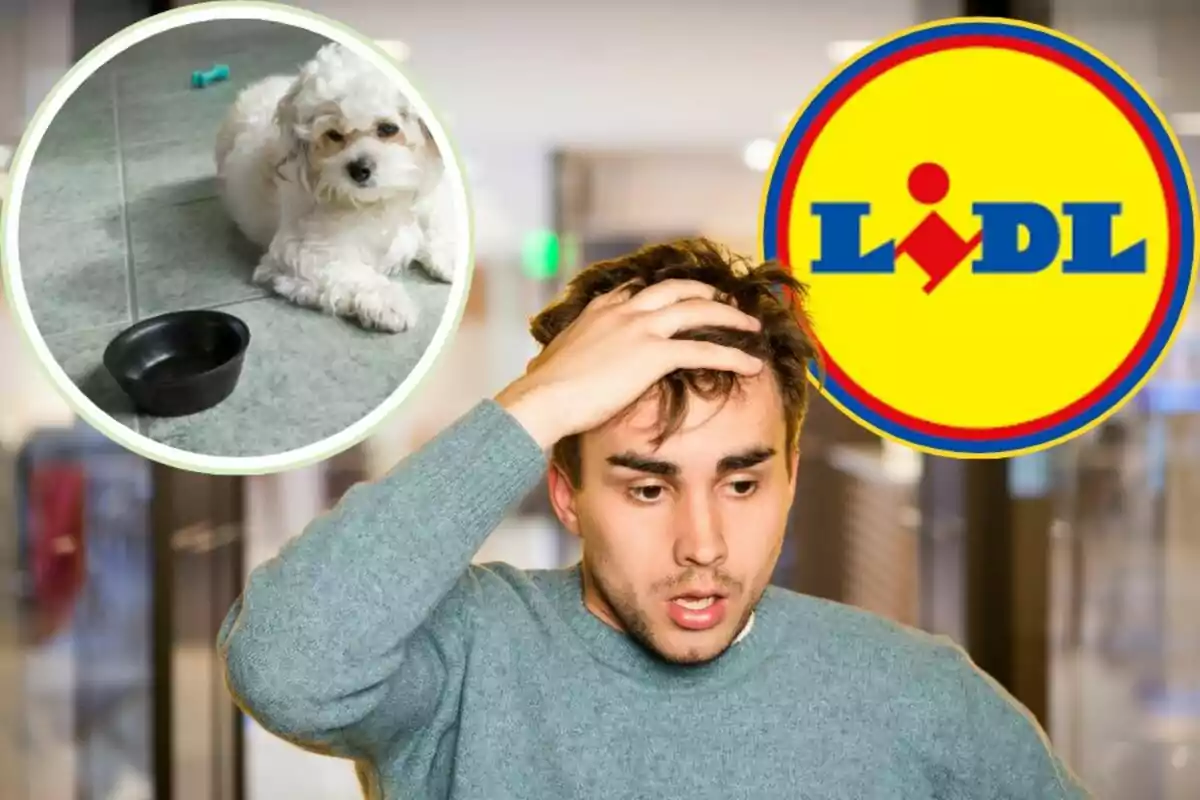 Un home amb expressió de sorpresa o preocupació, un gos petit al costat d'un bol i el logotip de Lidl.