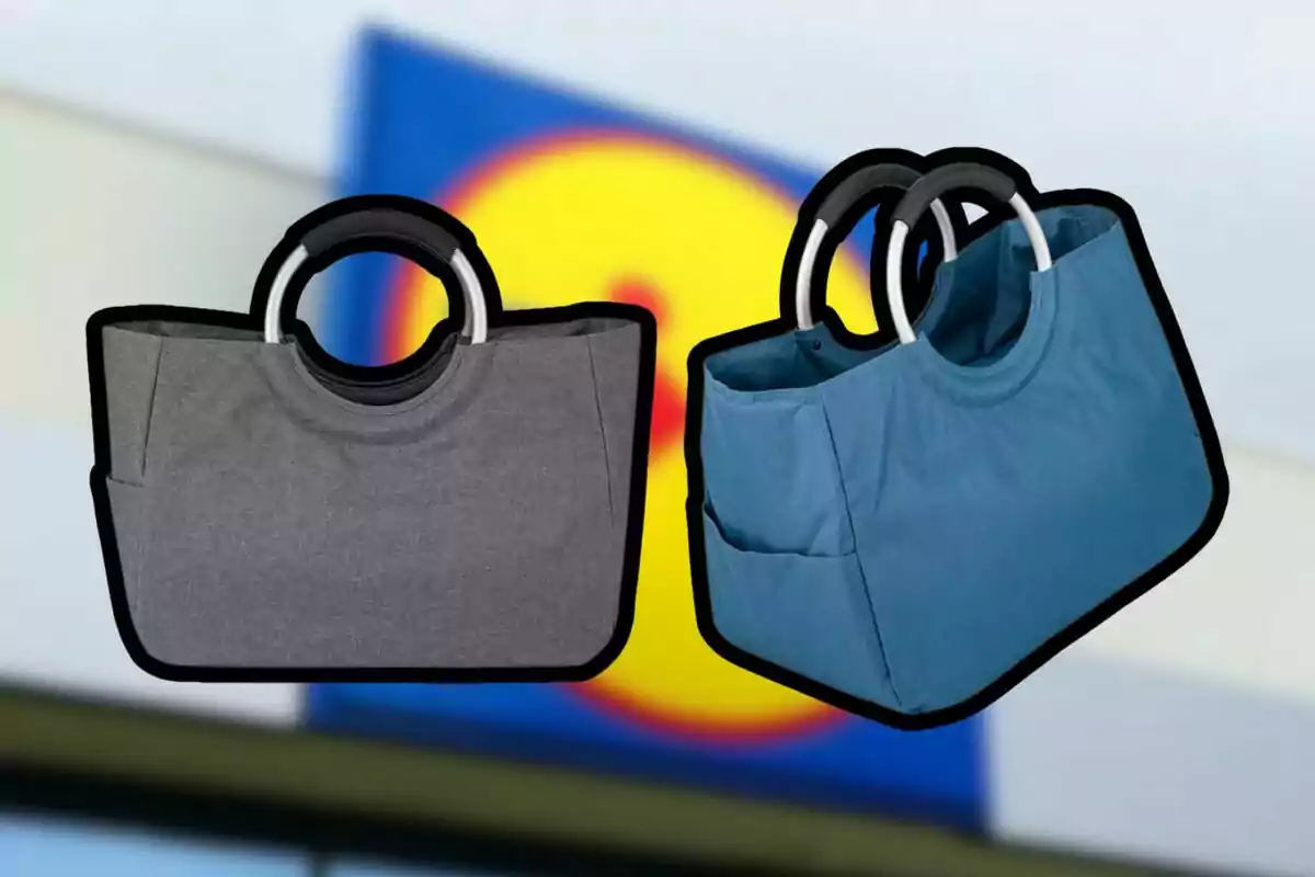 Dues bosses reutilitzables amb nanses rodones, una grisa i una blava, sobre un fons desenfocat d’un rètol de supermercat. Dues bosses reutilitzables amb nanses rodones, una grisa i una blava, sobre un fons desenfocat d’un rètol de supermercat.