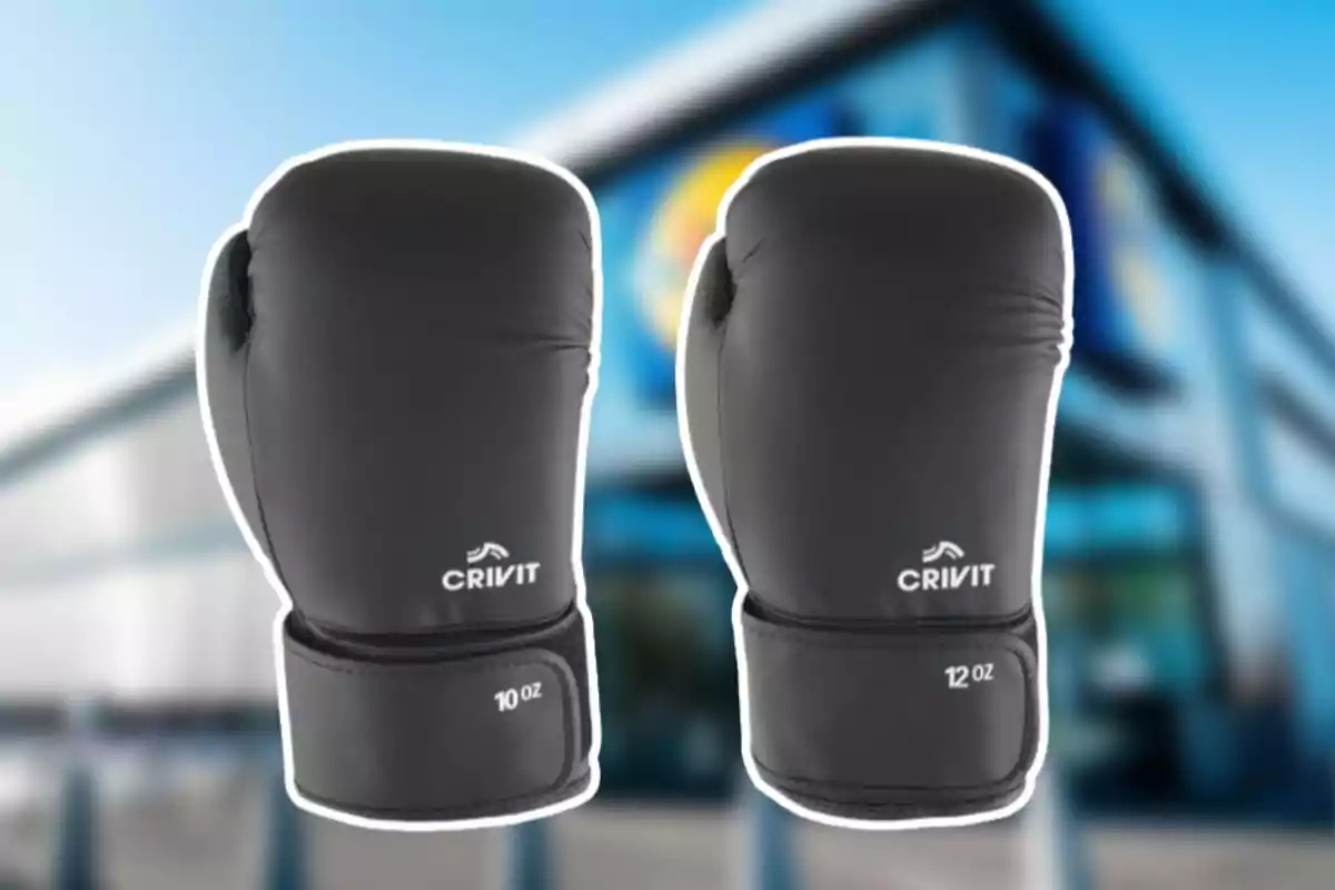 Un parell de guants de boxa negres de la marca Crivit amb pesos de 10 oz i 12 oz, sobre un fons desenfocat d'un edifici. Un parell de guants de boxa negres de la marca Crivit amb pesos de 10 oz i 12 oz, sobre un fons desenfocat d'un edifici.