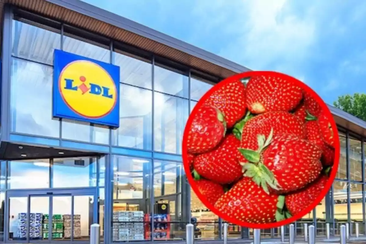 Façana d´una botiga Lidl amb una imatge de maduixes en un cercle vermell superposada.