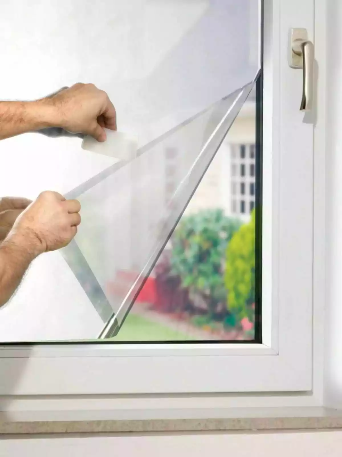 Persona instal·lant una làmina protectora transparent en una finestra blanca Persona instal·lant una làmina protectora transparent en una finestra blanca