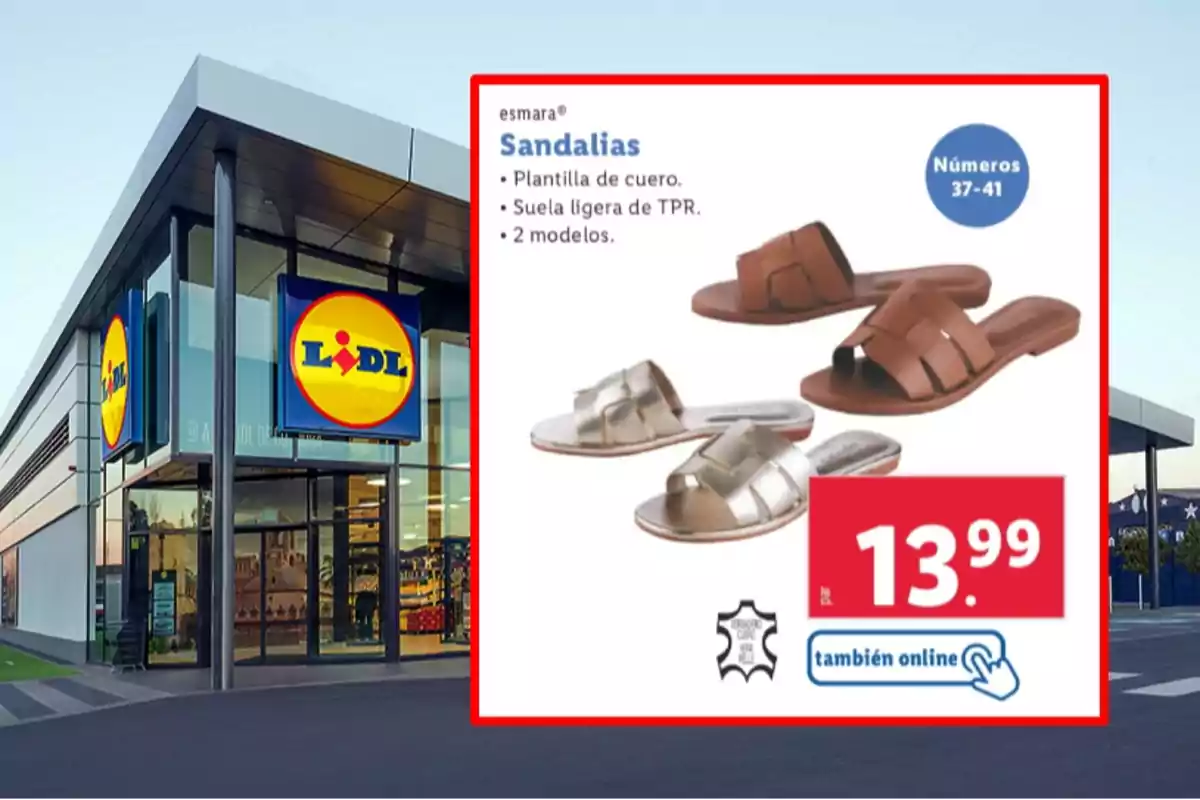 Imatge d'una botiga Lidl amb un anunci de sandàlies Esmara que tenen plantilla de cuir i sola lleugera de TPR, disponibles en dos models i talles del 37 al 41, amb un preu de 13,99 euros i opció de compra en línia. Imatge d'una botiga Lidl amb un anunci de sandàlies Esmara que tenen plantilla de cuir i sola lleugera de TPR, disponibles en dos models i talles del 37 al 41, amb un preu de 13,99 euros i opció de compra en línia.