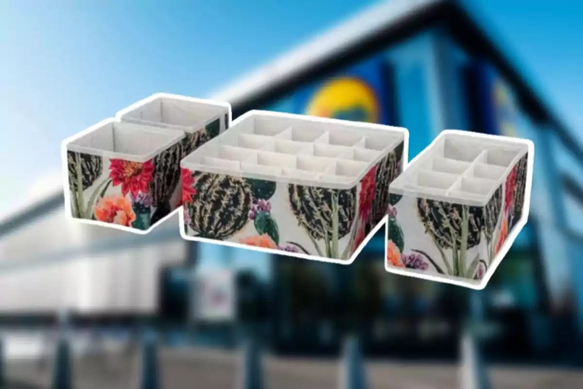 Organitzadors de tela amb estampat de cactus i flors sobre un fons desenfocat d’una botiga Organitzadors de tela amb estampat de cactus i flors sobre un fons desenfocat d’una botiga