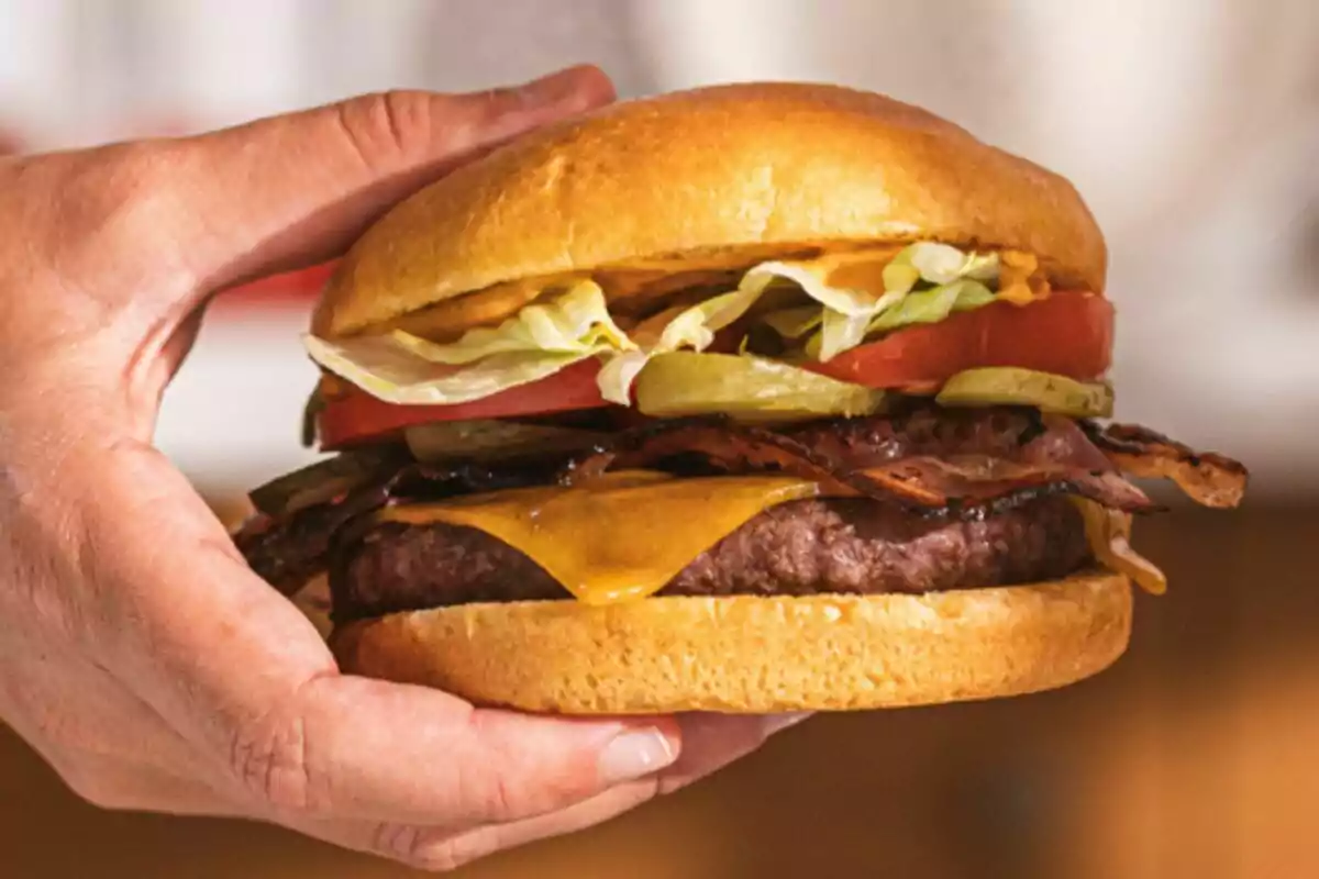 Persona sostenint una hamburguesa amb formatge, bacó, enciam, tomàquet i cogombrets Persona sostenint una hamburguesa amb formatge, bacó, enciam, tomàquet i cogombrets