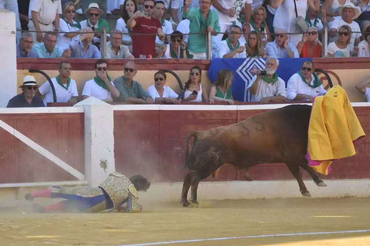 El torero Manuel Díaz 'El Cordobés' pateix una agafada a la plaça de bous d'Osca, a 12 d'agost de 2023, a Osca, Aragó