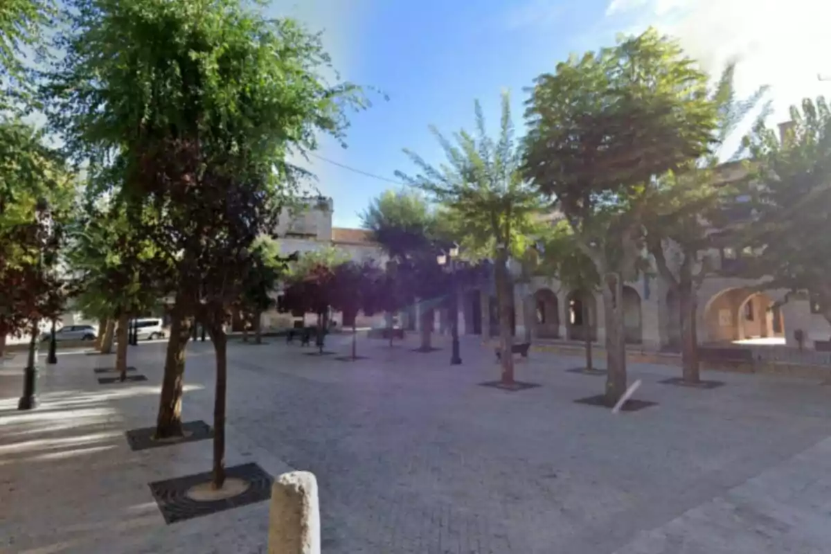 Una plaça amb arbres i edificis antics al voltant en un dia assolellat. Una plaça amb arbres i edificis antics al voltant en un dia assolellat.