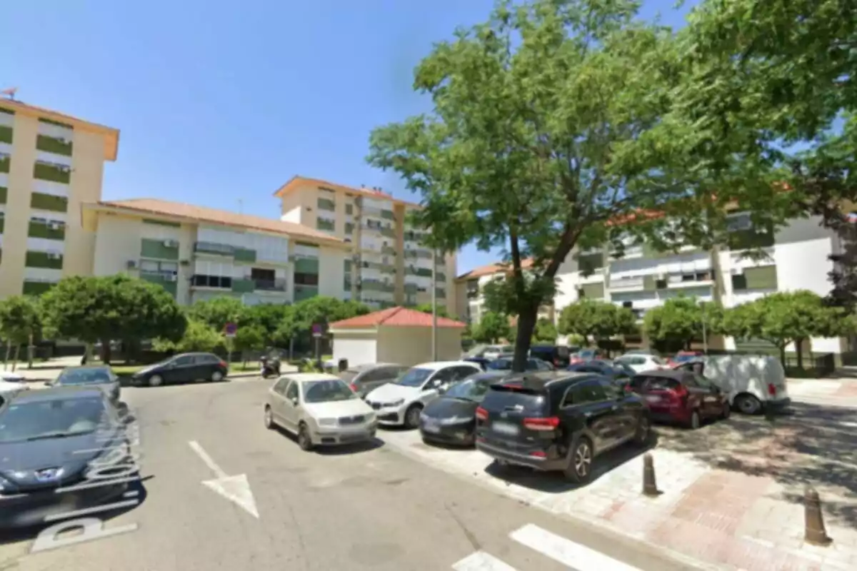 Diversos edificis residencials envoltats d’arbres i cotxes aparcats en una zona urbana en un dia assolellat Diversos edificis residencials envoltats d’arbres i cotxes aparcats en una zona urbana en un dia assolellat