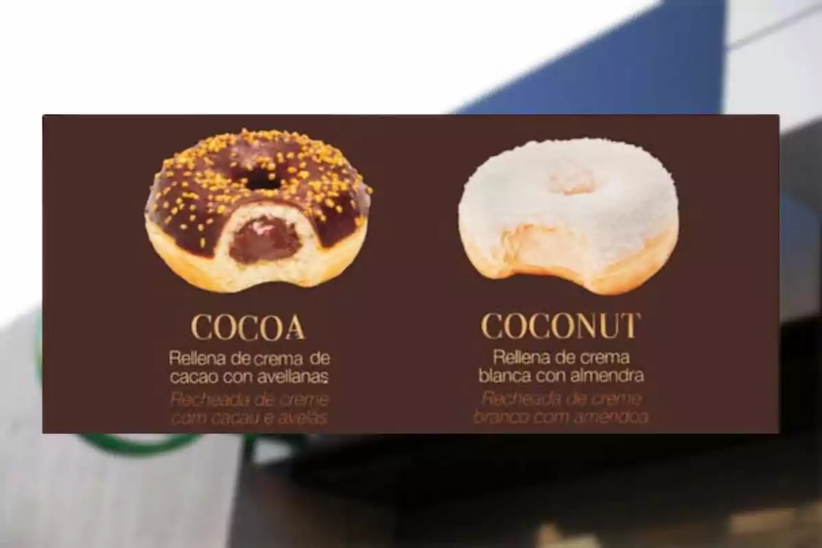 Imagen de dos donas, una de chocolate con avellanas y otra de coco con almendra.