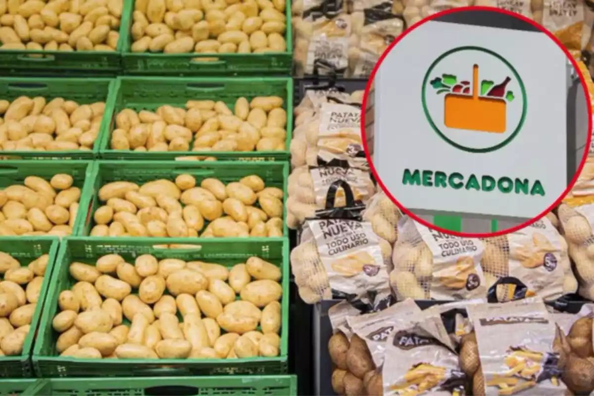 Expositor de patates de Mercadona