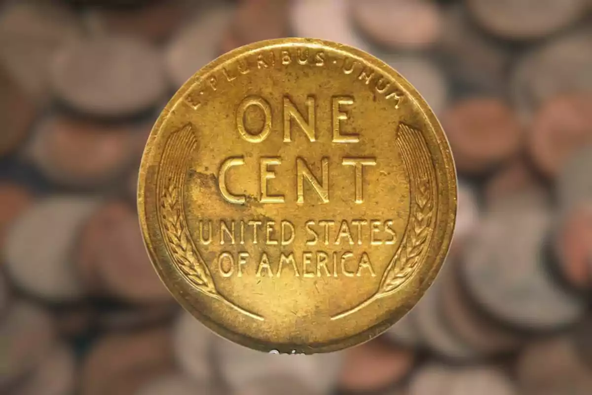 United States one-cent coin with wheat ears on the reverse. United States one-cent coin with wheat ears on the reverse.