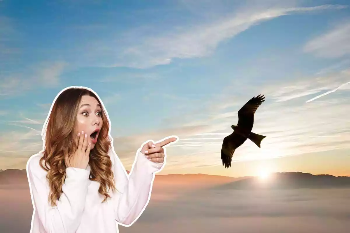 Muntatge d'un ocell al cel i una noia assenyalant-lo